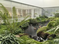 -罗红摄影艺术馆