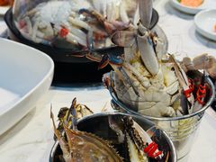 -半岛听涛蒸汽海鲜自助(K11店)