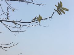 -蠡湖大桥公园