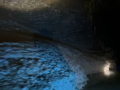 -地心探险极地