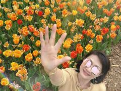 -上海鲜花港