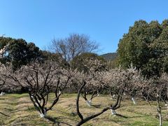 -白马涧龙池景区