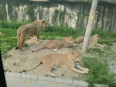 -北京野生动物园