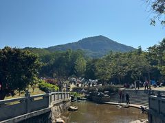-黄埔油麻山森林公园