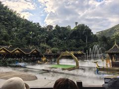-西双版纳原始森林公园