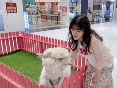 -万达广场(北京槐房店)
