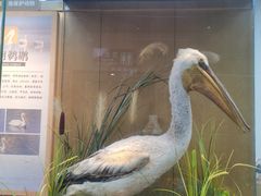 -漩门湾国家湿地公园