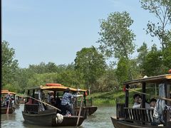 -溱湖国家湿地公园