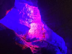 -梦幻奥陶纪景区