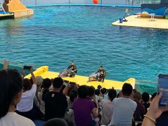 -秦皇岛乐岛海洋王国