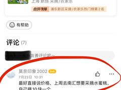 -南汇新场正宗水蜜桃采摘