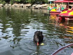 -西安秦岭野生动物园