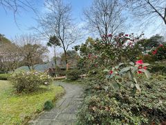 -南山植物园