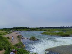 -绿堤公园