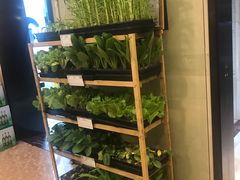 -后宫私房菜(汇客美食娱乐广场店)