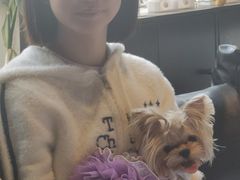 -百好乐宠物友好餐厅(朝外大街店)