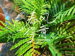 -菌自在·云南野生菌火锅(长安万达店)