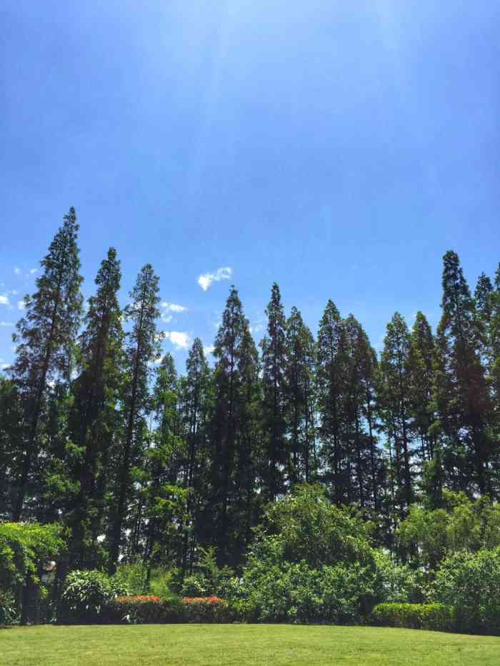 嘉和苑度假村-"酒店环境不错,卫生做的很好,让人感觉很舒.