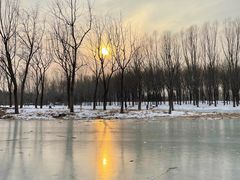 -东郊湿地公园