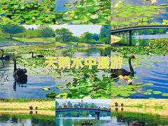 -上海辰山植物园