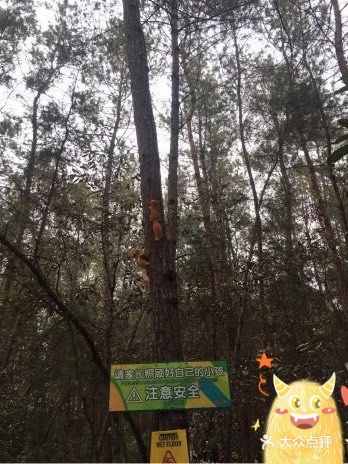 双流松鼠🐿️部落森林乐园 看小动物来这里准没错！