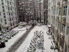 -武汉大学图书馆·文理学部总馆