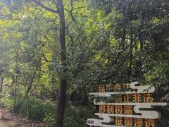 -成都老君山
