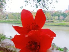 -怡海公园(桂城街道)