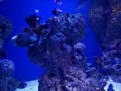 -成都浩海立方海洋公园