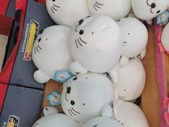 -海合安成都极地海洋公园