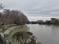 -江心屿景区