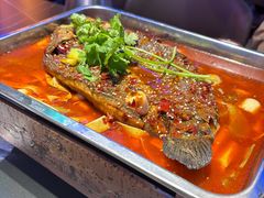 -沈胖子音乐烤吧·炒菜·龙虾(环城东路店)
