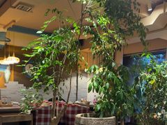 -慢丽江·云南野生菌土鸡锅(付家庄店)