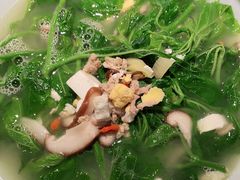 -大榕树下顺德菜(融创茂店)