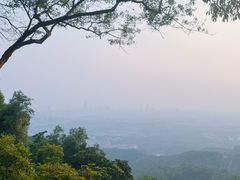 -火炉山森林公园