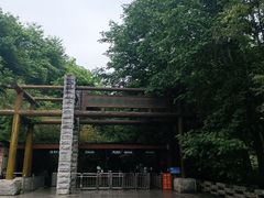 -牛背梁国家森林公园