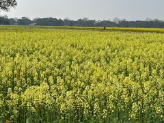 -中国天府农业博览园