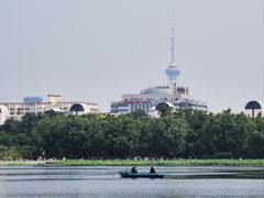 -莲花池公园