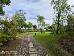 -春花秋色城市公园