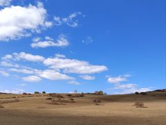 -御道口草原森林风景区