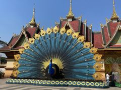 -西双版纳勐泐文化旅游区