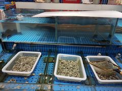 水产区-光明渔港(海悦天地店)