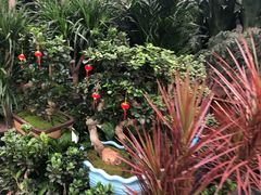 -秦美花卉(天朗·莱茵小城2期店)