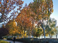 -天鹅湖体育公园