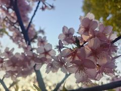 -上海火车站北广场-地下车库