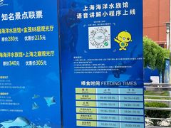 -上海海洋水族馆