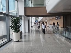 -青岛胶东国际机场