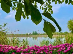 -梁鸿国家湿地公园