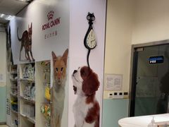 -瑞派申生动物医院·24H夜诊·国际动物医疗中心·骨外科(吴中路店)