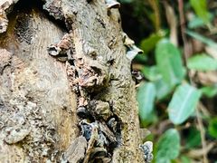 -南山风景名胜区